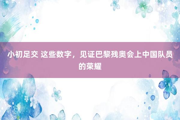 小初足交 这些数字，见证巴黎残奥会上中国队员的荣耀