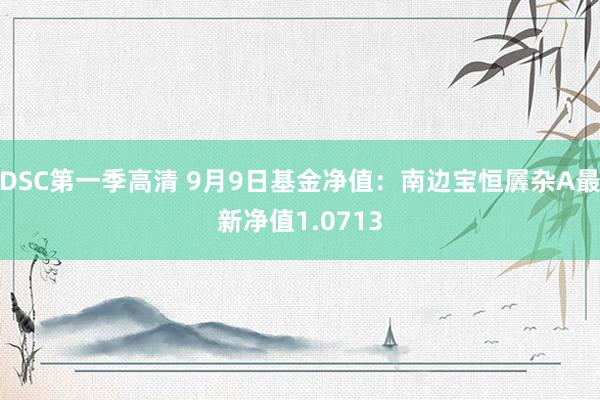 DSC第一季高清 9月9日基金净值：南边宝恒羼杂A最新净值1.0713