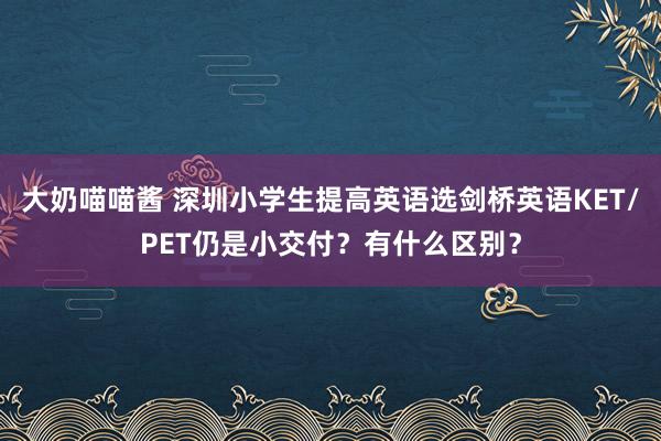 大奶喵喵酱 深圳小学生提高英语选剑桥英语KET/PET仍是小交付？有什么区别？