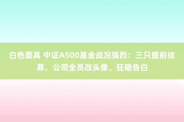 白色面具 中证A500基金战况强烈：三只提前结募，公司全员改头像、狂砸告白