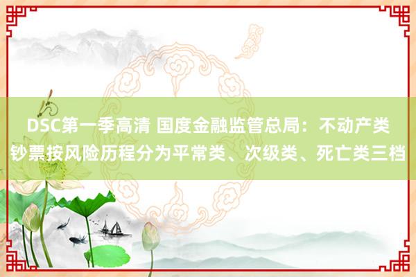 DSC第一季高清 国度金融监管总局：不动产类钞票按风险历程分为平常类、次级类、死亡类三档