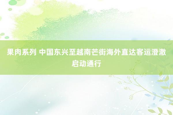 果肉系列 中国东兴至越南芒街海外直达客运澄澈启动通行