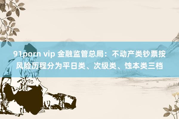 91porn vip 金融监管总局：不动产类钞票按风险历程分为平日类、次级类、蚀本类三档