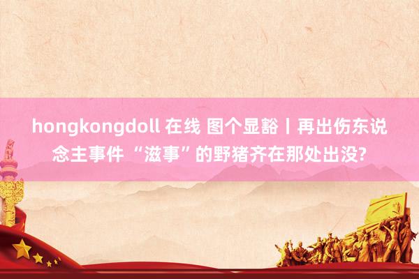 hongkongdoll 在线 图个显豁丨再出伤东说念主事件 “滋事”的野猪齐在那处出没?