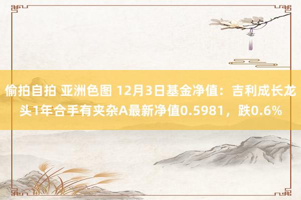 偷拍自拍 亚洲色图 12月3日基金净值：吉利成长龙头1年合手有夹杂A最新净值0.5981，跌0.6%