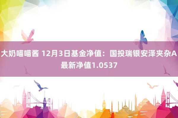 大奶喵喵酱 12月3日基金净值：国投瑞银安泽夹杂A最新净值1.0537
