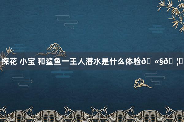 探花 小宝 和鲨鱼一王人潜水是什么体验🫧🦈
