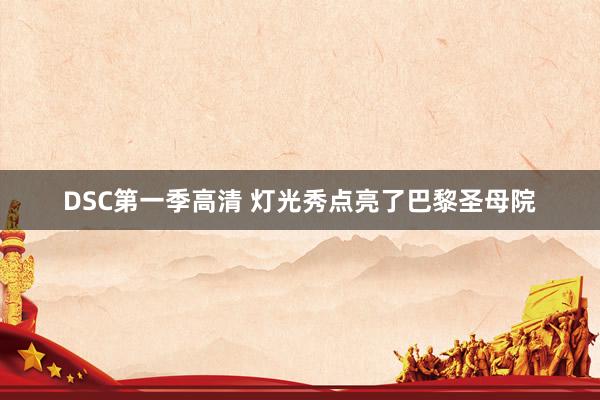 DSC第一季高清 灯光秀点亮了巴黎圣母院