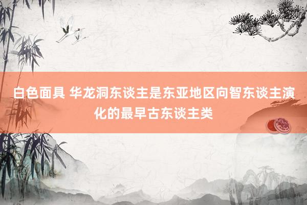 白色面具 华龙洞东谈主是东亚地区向智东谈主演化的最早古东谈主类