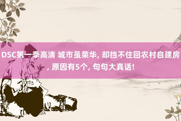 DSC第一季高清 城市虽荣华， 却挡不住回农村自建房， 原因有5个， 句句大真话!