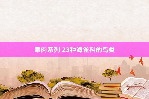 果肉系列 23种海雀科的鸟类