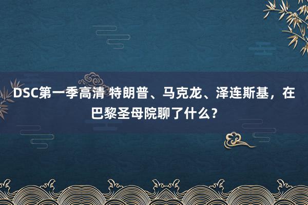 DSC第一季高清 特朗普、马克龙、泽连斯基，在巴黎圣母院聊了什么？