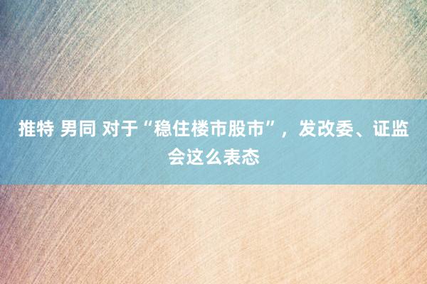 推特 男同 对于“稳住楼市股市”，发改委、证监会这么表态