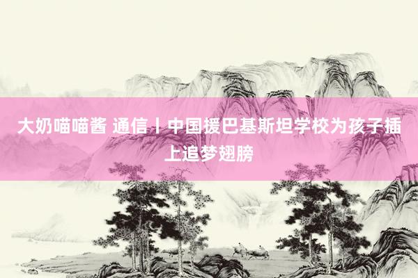 大奶喵喵酱 通信丨中国援巴基斯坦学校为孩子插上追梦翅膀