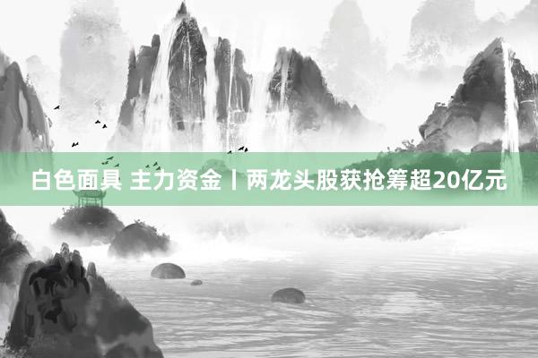 白色面具 主力资金丨两龙头股获抢筹超20亿元