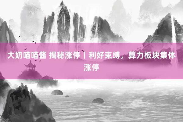大奶喵喵酱 揭秘涨停丨利好束缚，算力板块集体涨停