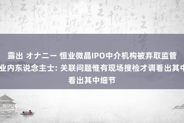 露出 オナニー 恒业微晶IPO中介机构被弃取监管措施 业内东说念主士: 关联问题惟有现场搜检才调看出其中细节