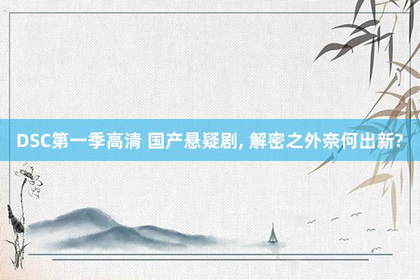 DSC第一季高清 国产悬疑剧， 解密之外奈何出新?