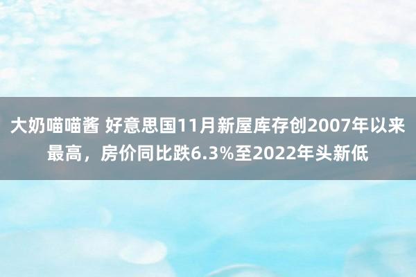 大奶喵喵酱 好意思国11月新屋库存创2007年以来最高，房价同比跌6.3%至2022年头新低