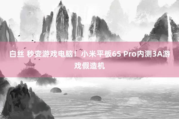 白丝 秒变游戏电脑！小米平板6S Pro内测3A游戏假造机