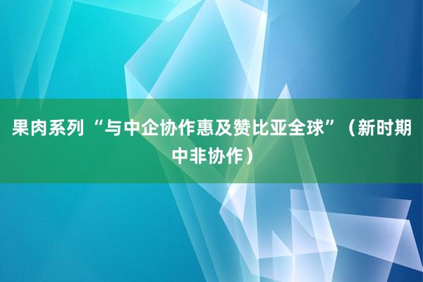 果肉系列 “与中企协作惠及赞比亚全球”（新时期中非协作）
