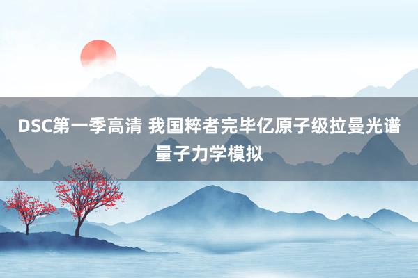 DSC第一季高清 我国粹者完毕亿原子级拉曼光谱量子力学模拟