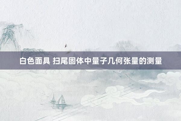 白色面具 扫尾固体中量子几何张量的测量
