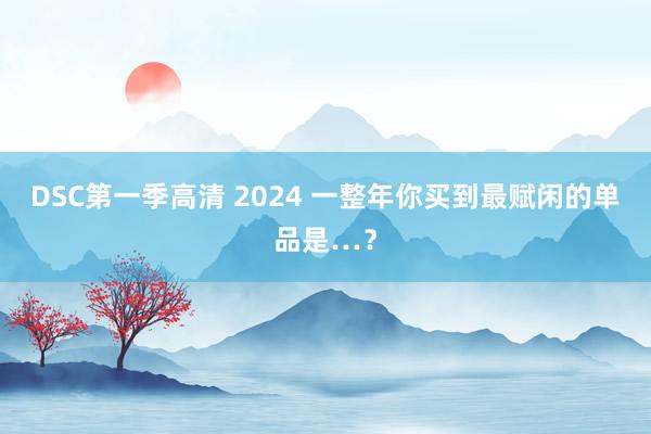 DSC第一季高清 2024 一整年你买到最赋闲的单品是…？