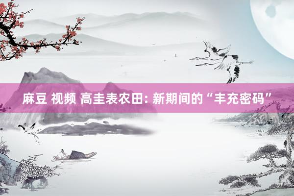 麻豆 视频 高圭表农田: 新期间的“丰充密码”