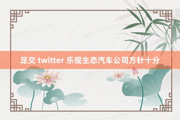 足交 twitter 乐视生态汽车公司方针十分