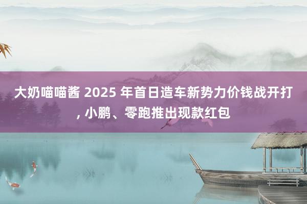 大奶喵喵酱 2025 年首日造车新势力价钱战开打， 小鹏、零跑推出现款红包