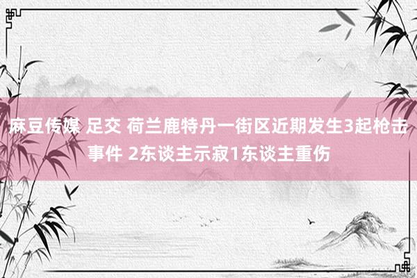 麻豆传媒 足交 荷兰鹿特丹一街区近期发生3起枪击事件 2东谈主示寂1东谈主重伤