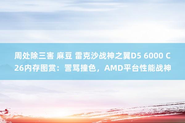周处除三害 麻豆 雷克沙战神之翼D5 6000 C26内存图赏：詈骂撞色，AMD平台性能战神