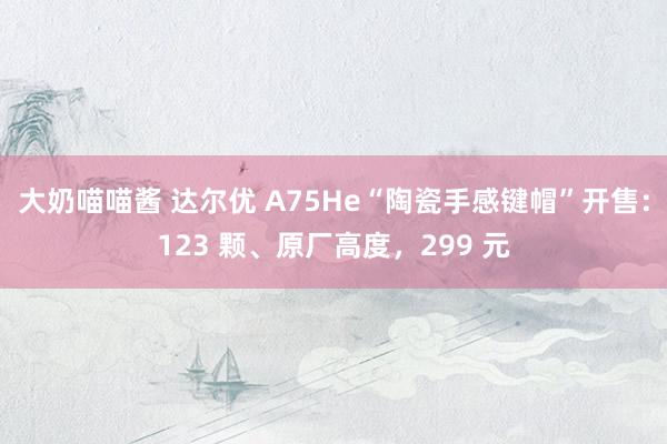 大奶喵喵酱 达尔优 A75He“陶瓷手感键帽”开售：123 颗、原厂高度，299 元
