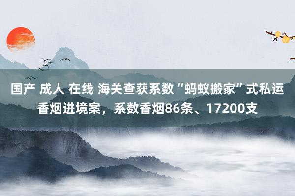 国产 成人 在线 海关查获系数“蚂蚁搬家”式私运香烟进境案，系数香烟86条、17200支