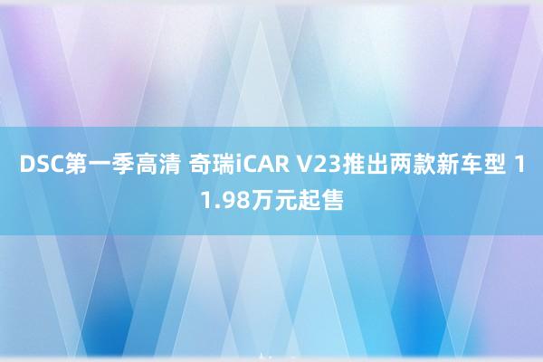 DSC第一季高清 奇瑞iCAR V23推出两款新车型 11.98万元起售