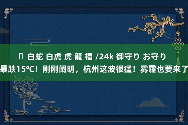 ✨白蛇 白虎 虎 龍 福 /24k 御守り お守り 暴跌15℃！刚刚阐明，杭州这波很猛！雾霾也要来了