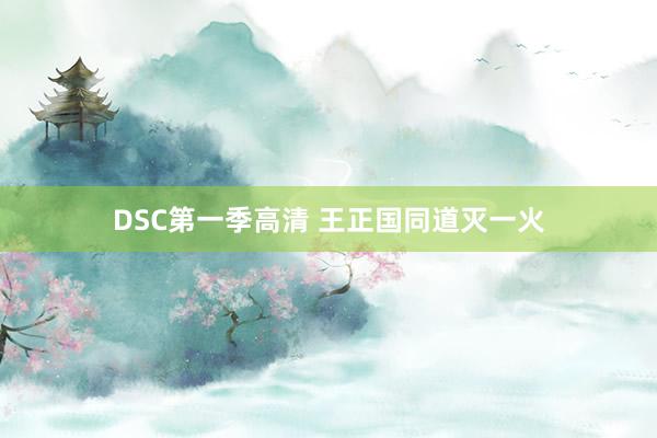 DSC第一季高清 王正国同道灭一火