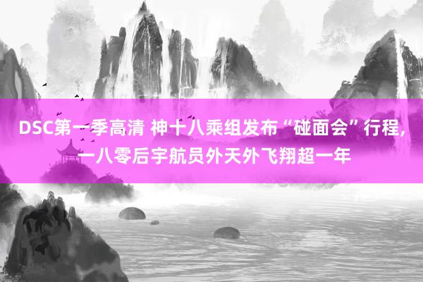 DSC第一季高清 神十八乘组发布“碰面会”行程， 一八零后宇航员外天外飞翔超一年