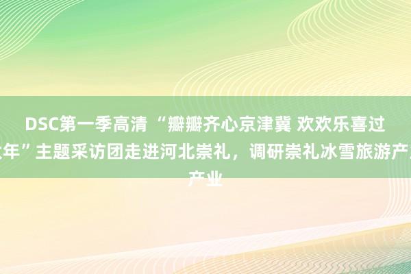 DSC第一季高清 “瓣瓣齐心京津冀 欢欢乐喜过大年”主题采访团走进河北崇礼，调研崇礼冰雪旅游产业