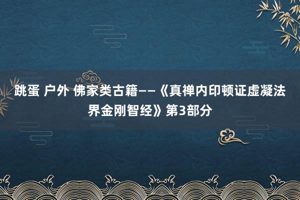 跳蛋 户外 佛家类古籍——《真禅内印顿证虚凝法界金刚智经》第3部分