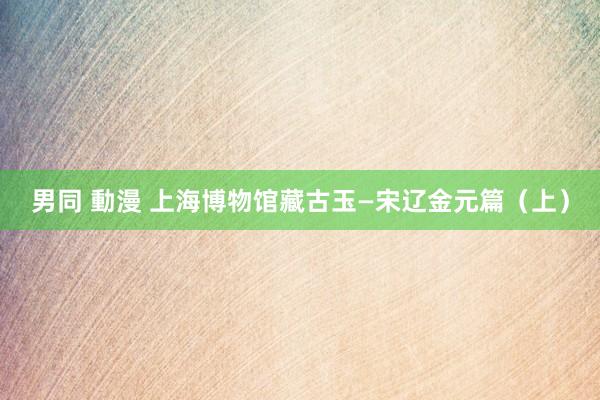 男同 動漫 上海博物馆藏古玉—宋辽金元篇（上）
