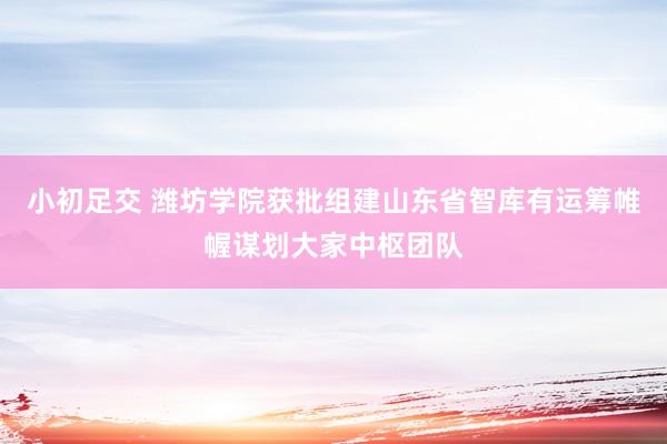 小初足交 潍坊学院获批组建山东省智库有运筹帷幄谋划大家中枢团队