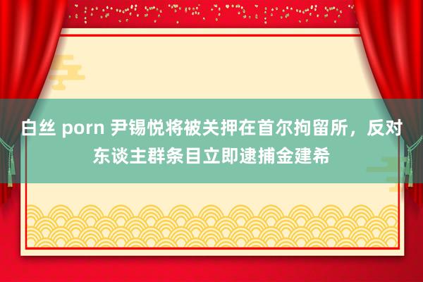 白丝 porn 尹锡悦将被关押在首尔拘留所，反对东谈主群条目立即逮捕金建希