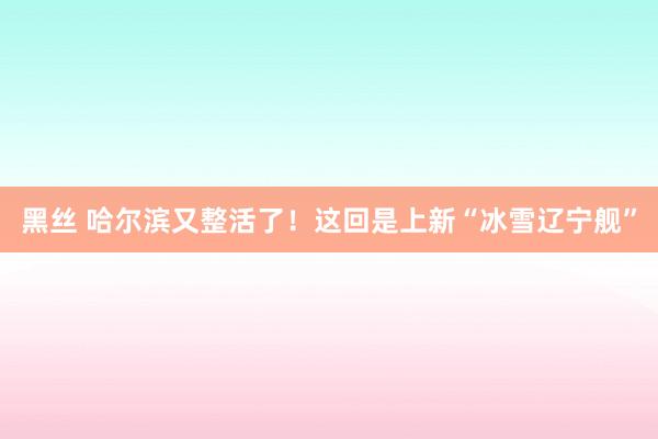 黑丝 哈尔滨又整活了！这回是上新“冰雪辽宁舰”