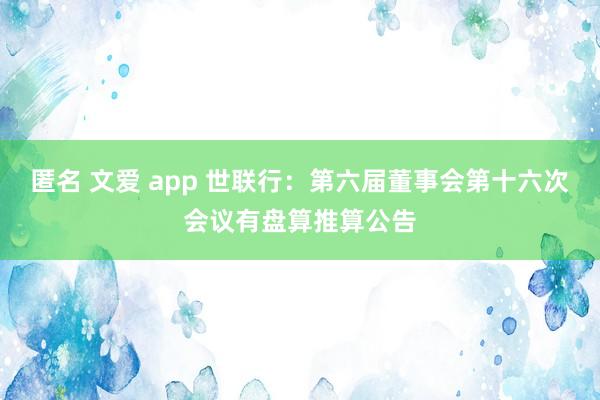 匿名 文爱 app 世联行：第六届董事会第十六次会议有盘算推算公告