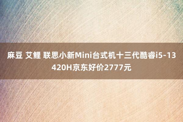 麻豆 艾鲤 联思小新Mini台式机十三代酷睿i5-13420H京东好价2777元