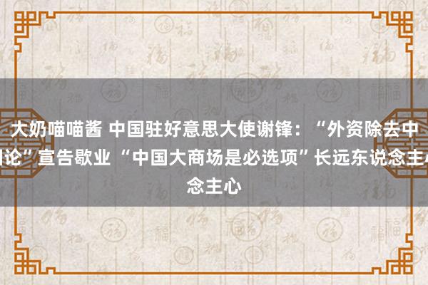 大奶喵喵酱 中国驻好意思大使谢锋：“外资除去中国论”宣告歇业 “中国大商场是必选项”长远东说念主心