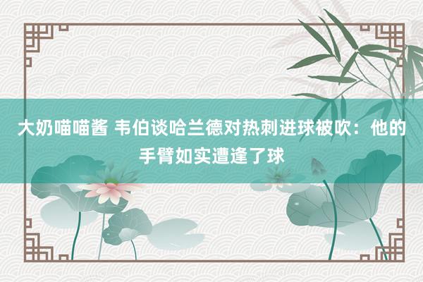 大奶喵喵酱 韦伯谈哈兰德对热刺进球被吹：他的手臂如实遭逢了球