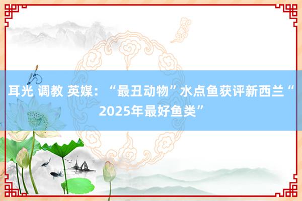 耳光 调教 英媒：“最丑动物”水点鱼获评新西兰“2025年最好鱼类”